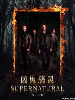 法外怪杰